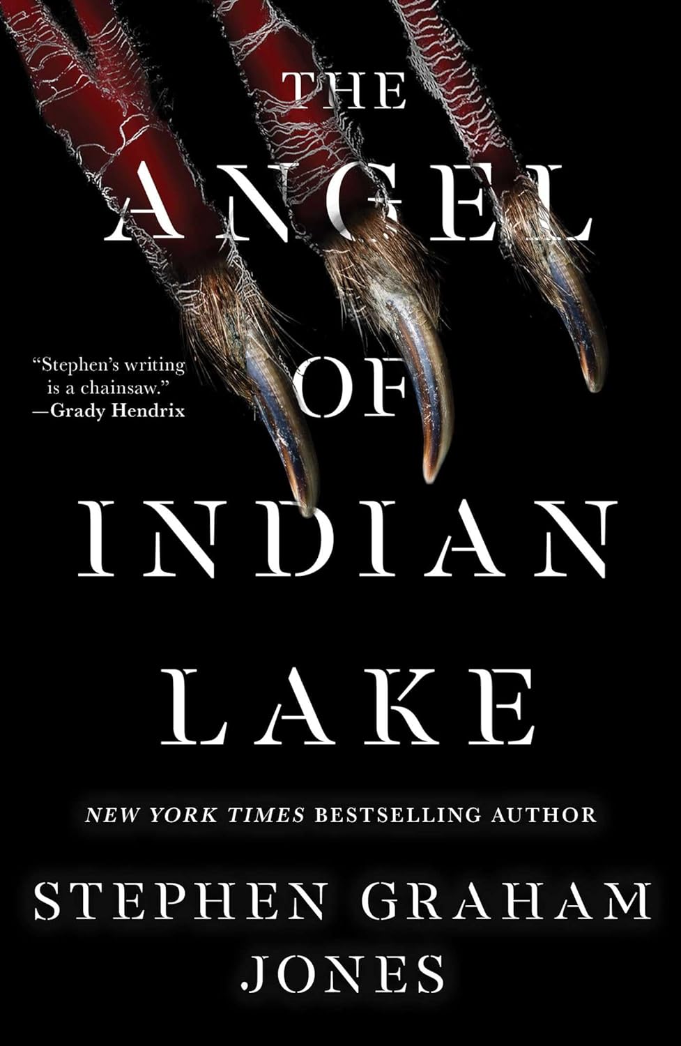 Image for "The Angel of Indian Lake"