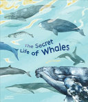 Image for "The Secret Life of Whales"