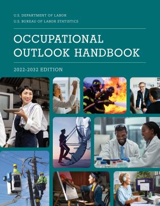 Image for "Occupational Outlook Handbook, 2022-2032"