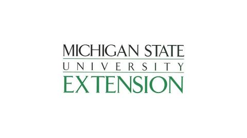 white background, green text spelling Michigan State Extension