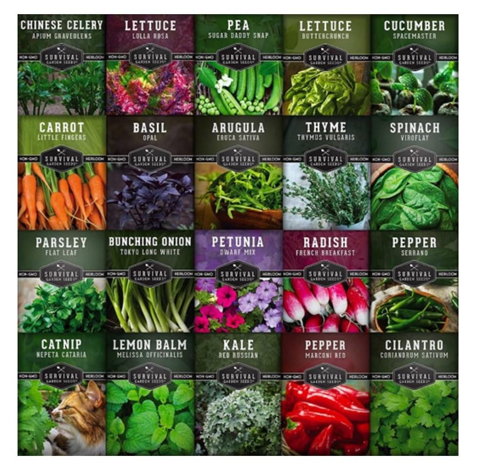 multi color seed packets